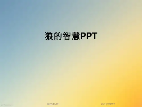 狼的智慧PPT