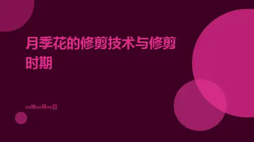 月季花的修剪技术与修剪时期