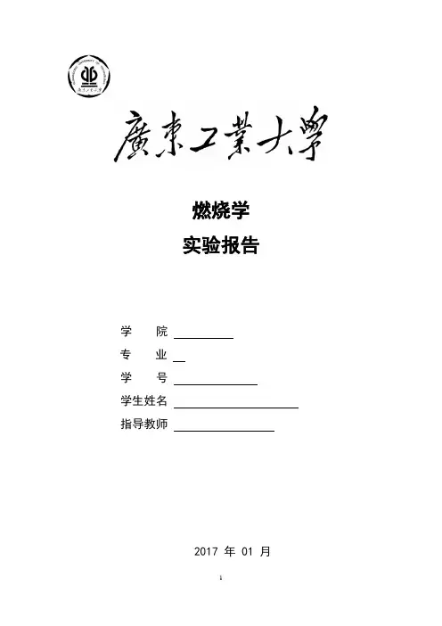 燃烧学实验报告1