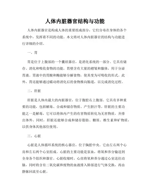 人体内脏器官结构与功能