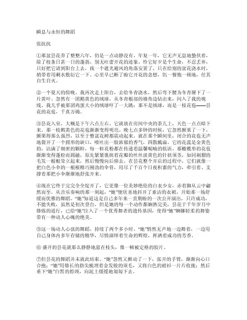 《瞬间与永恒的舞蹈》阅读答案