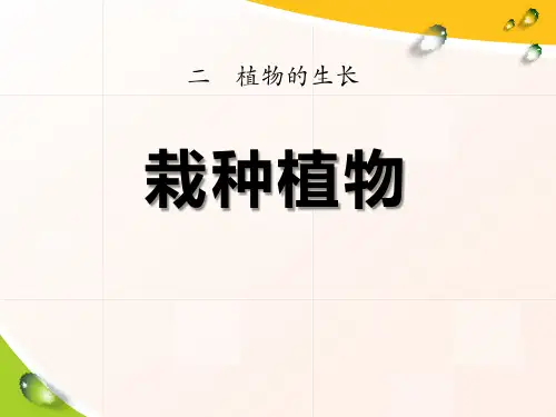 《栽种植物》植物的生长 PPT实用课件