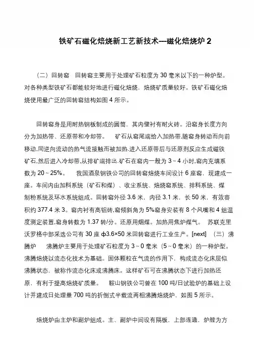 铁矿石磁化焙烧新工艺新技术---磁化焙烧炉2