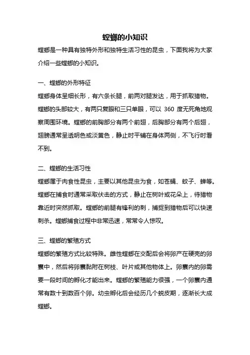 螳螂的小知识