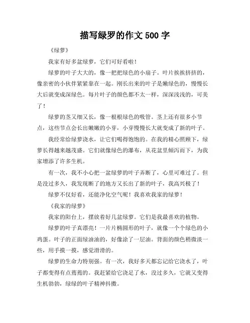 描写绿罗的作文500字