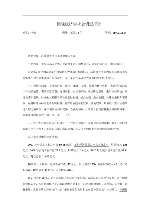 微观经济学报告