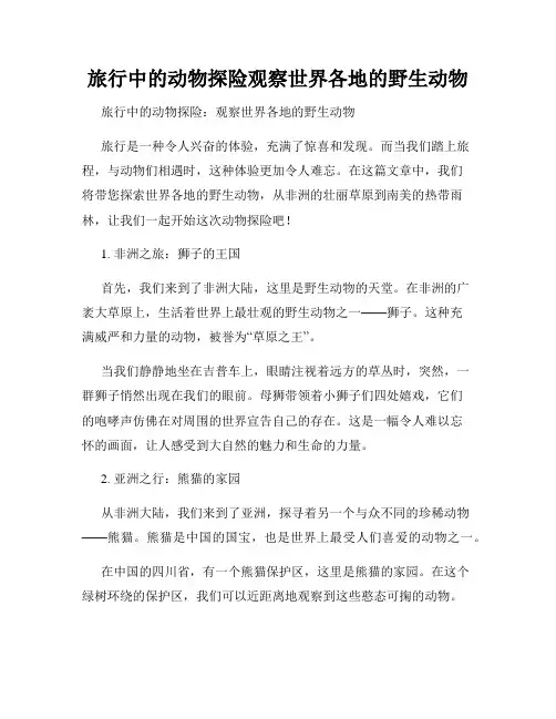 旅行中的动物探险观察世界各地的野生动物