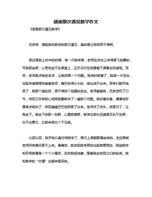 感谢那次遇见数学作文