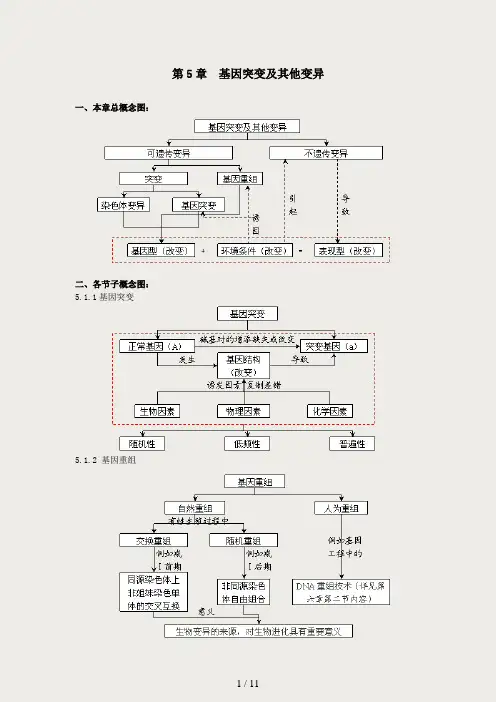 生物必修2-第五章、第六章、第七章知识点框架图