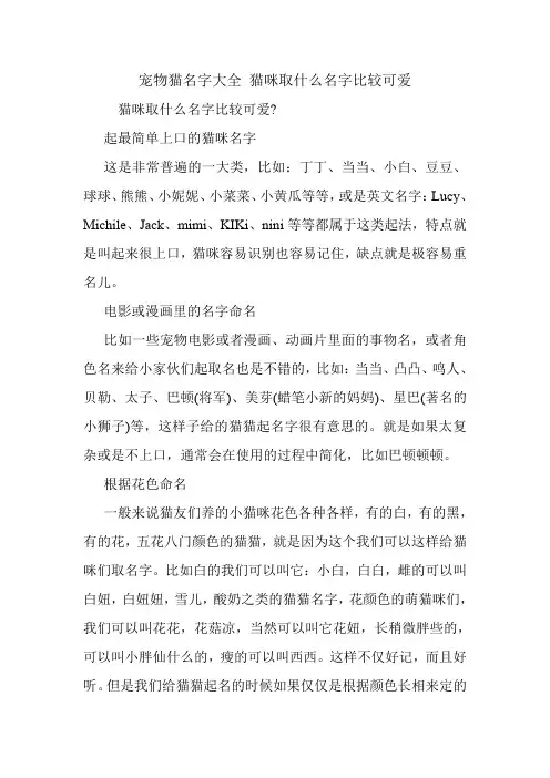 宠物猫名字大全 猫咪取什么名字比较可爱