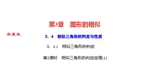 湘教版九年级数学上册作业课件 第3章 图形的相似 第2课时 相似三角形的判定定理(1)