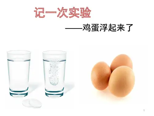 《鸡蛋浮起来了》作文辅导课件PPT教学课件