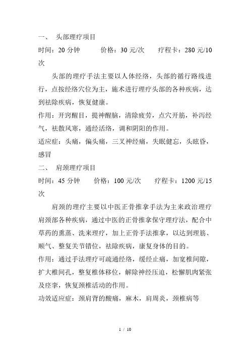 《中医理疗项目》word版参考模板