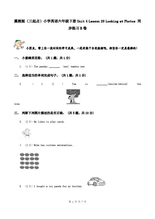 冀教版(三起点)小学英语六年级下册Unit 4 Lesson 20 Looking at Photos 同步练习B卷