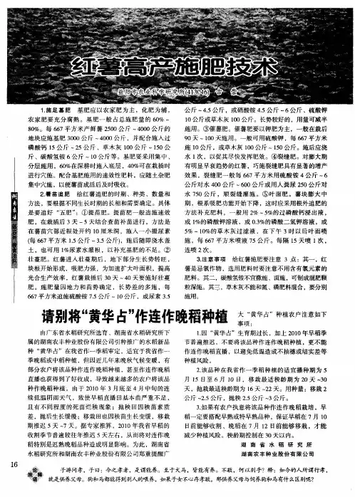 红薯高产施肥技术