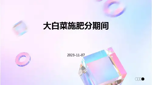 大白菜施肥分期间