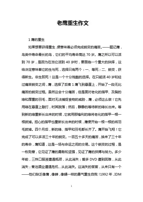 老鹰重生作文