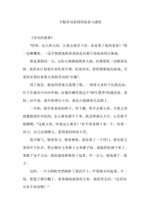 辛勤劳动获得的收获与感悟作文