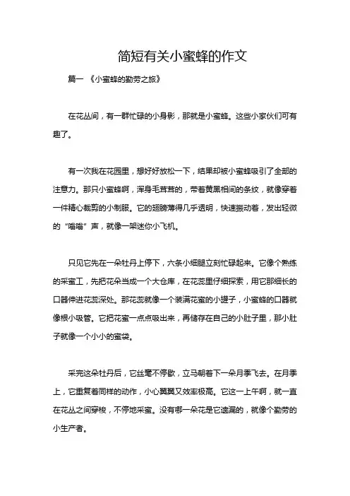 简短有关小蜜蜂的作文