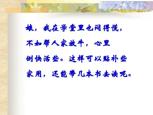 24少年王冕ppt课件
