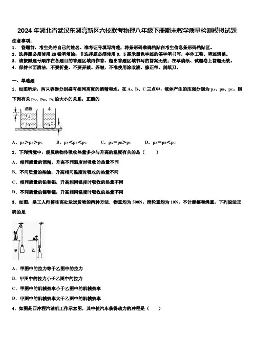 2024年湖北省武汉东湖高新区六校联考物理八年级下册期末教学质量检测模拟试题含解析