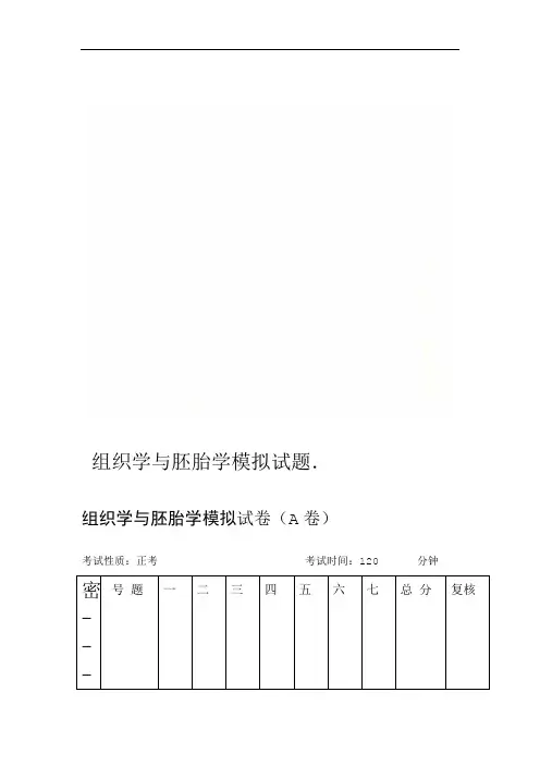 组织学与胚胎学模拟试题
