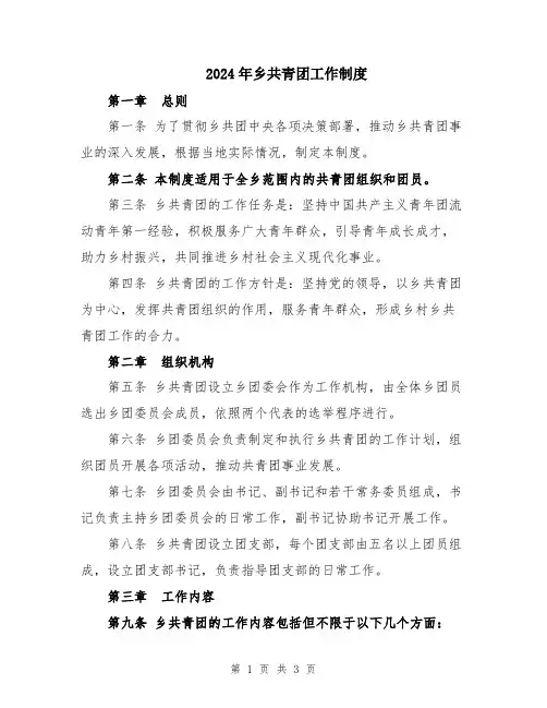 2024年乡共青团工作制度