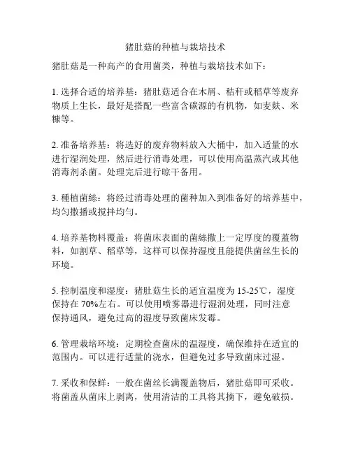 猪肚菇的种植与栽培技术