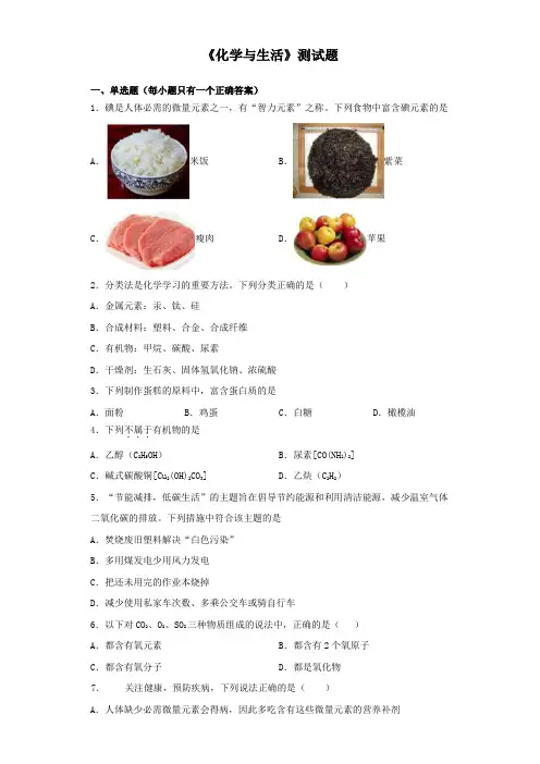 仁爱版化学九年级下册专题9《化学与生活》测试题(含答案)