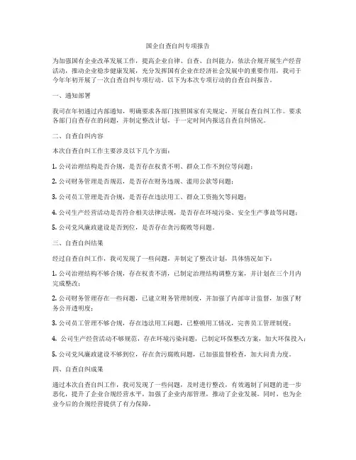 国企自查自纠专项报告