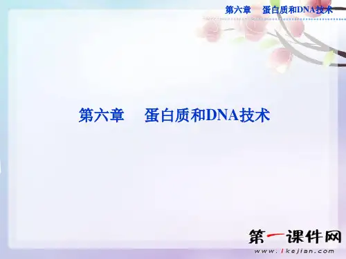 第六章第1节《蛋白质的提取和分离》ppt-中图版选修1PPT课件