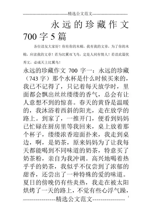 永远的珍藏作文700字5篇