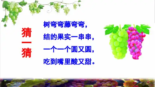 部编版二年级语文上册第四单元第11课《 葡萄沟》课件