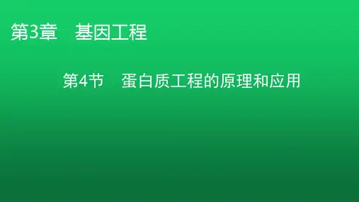 人教版高中生物选择性必修3第3章第4节课件