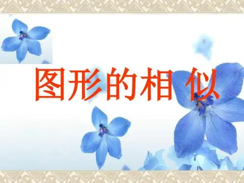 相似图形复习(1)