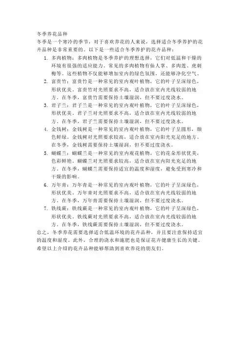 冬季养花品种