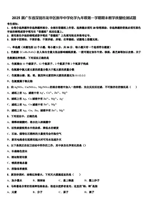 2025届广东省深圳市龙华区新华中学化学九年级第一学期期末教学质量检测试题含解析