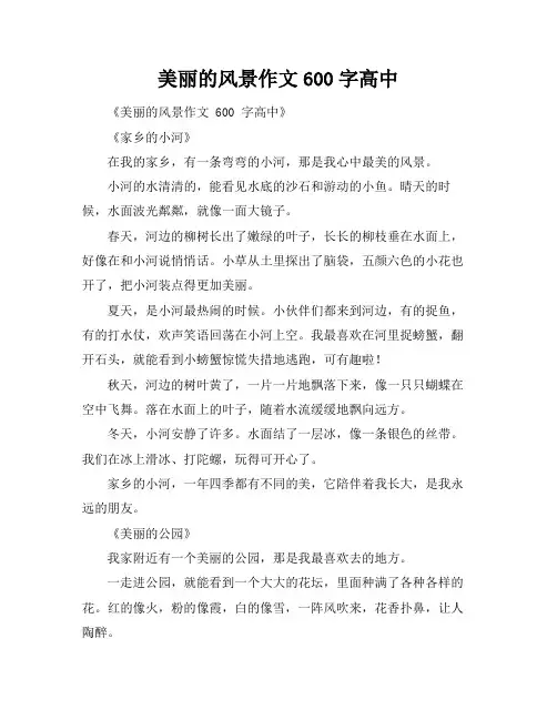 美丽的风景作文600字高中