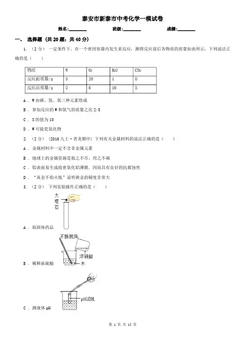 泰安市新泰市中考化学一模试卷
