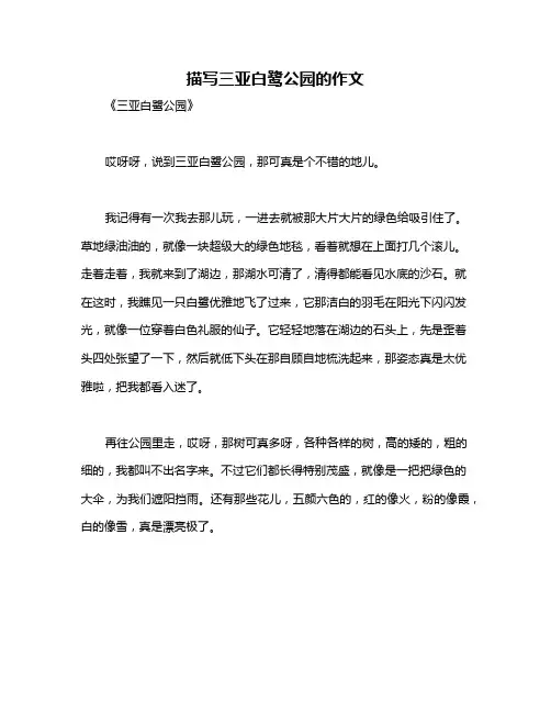 描写三亚白鹭公园的作文