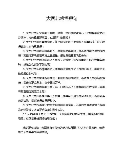 大西北感悟短句
