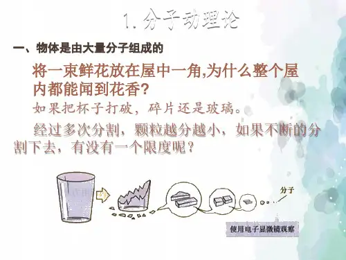 教科版物理九年级上册-教科版九上课件：1.1分子动理论