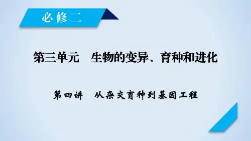 2019年高考生物人教版一轮复习课件：必修2+第3单元+第4讲从杂交育种到基因工程