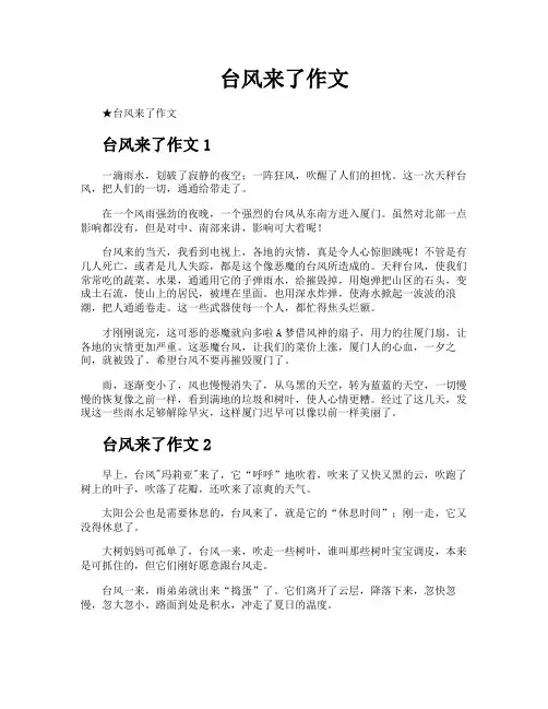 台风来了作文