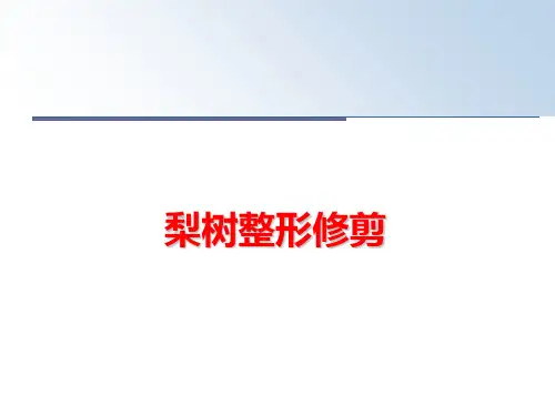 最新梨树整形修剪