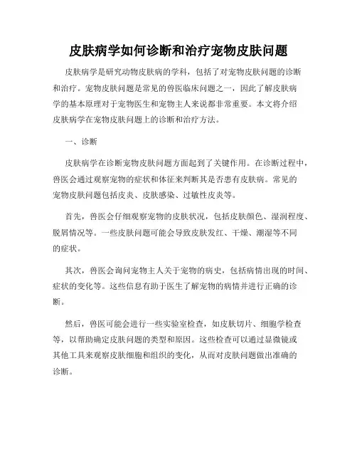 皮肤病学如何诊断和治疗宠物皮肤问题