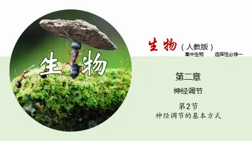2.2 神经调节的基本方式