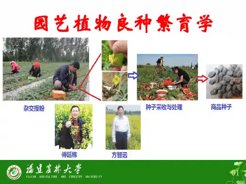 第一章+园艺植物良种繁育学——绪论