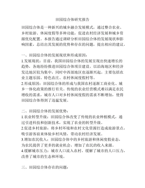 田园综合体研究报告