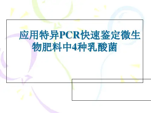 PCR鉴定乳酸菌